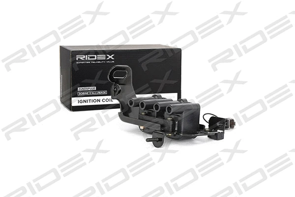 Ignition Coil (689C0191)