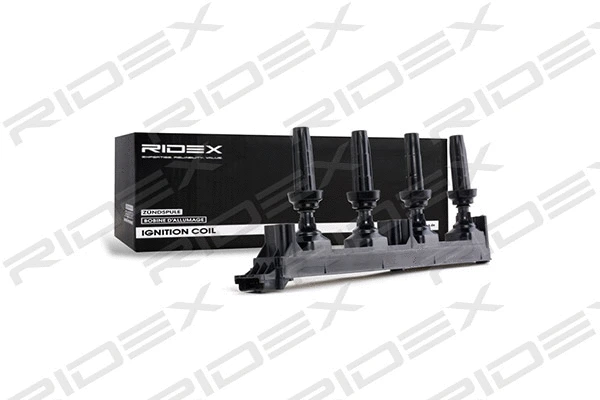 Ignition Coil (689C0111)