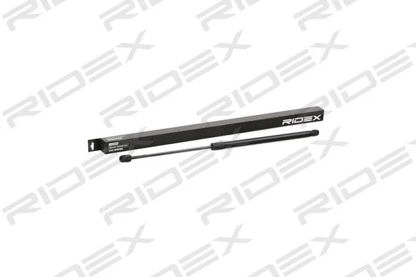 Gas Spring, boot/cargo area