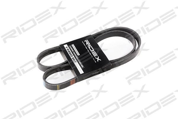 V-Ribbed Belt (305P0034)
