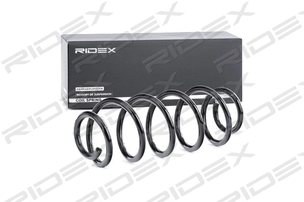 Suspension Spring (188C0492)