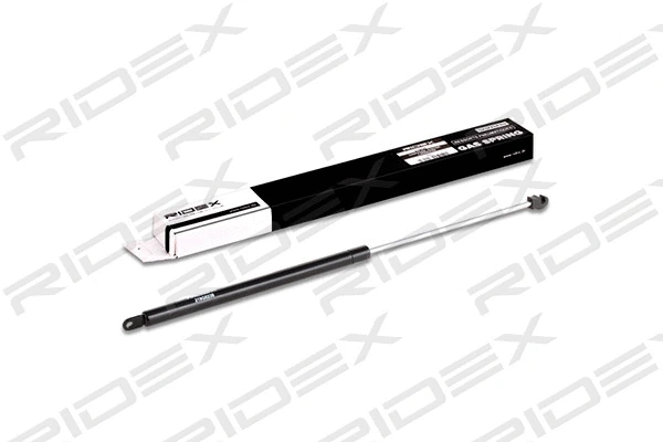 Gas Spring, boot/cargo area (219G0238)