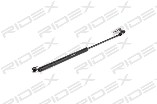 Gas Spring, boot/cargo area (219G0412)