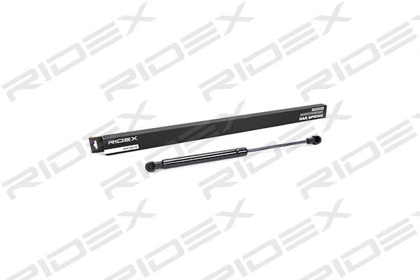 Gas Spring, boot/cargo area (219G0006)