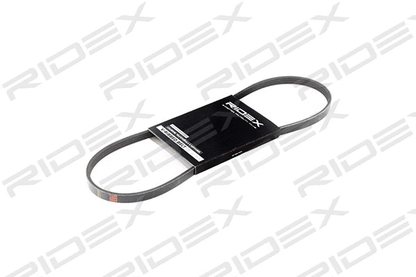 V-Ribbed Belt (305P0143)