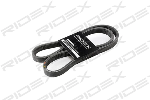 V-Ribbed Belt (305P0153)