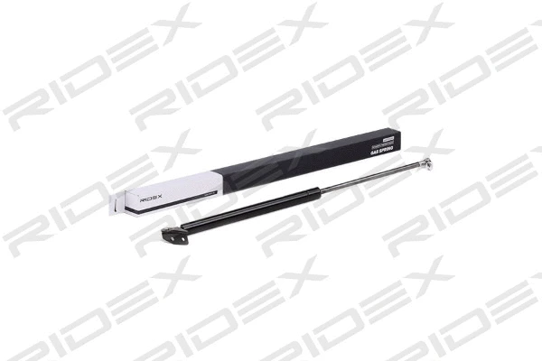 Gas Spring, boot/cargo area