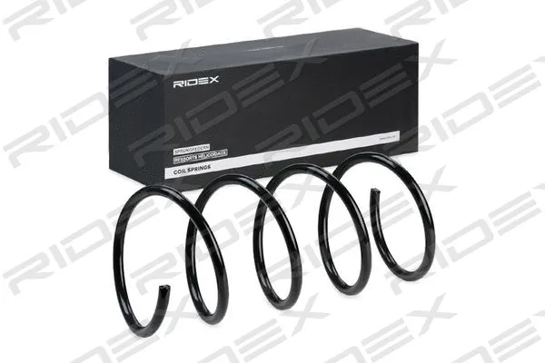 Suspension Spring