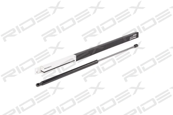 Gas Spring, boot/cargo area