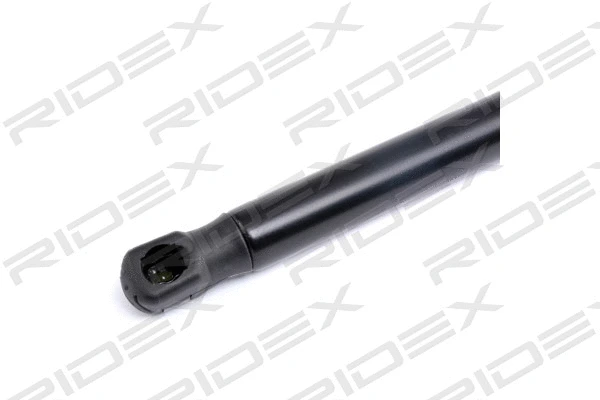 Gas Spring, boot/cargo area (219G0286)