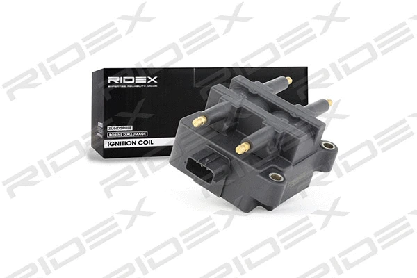 Ignition Coil (689C0069)