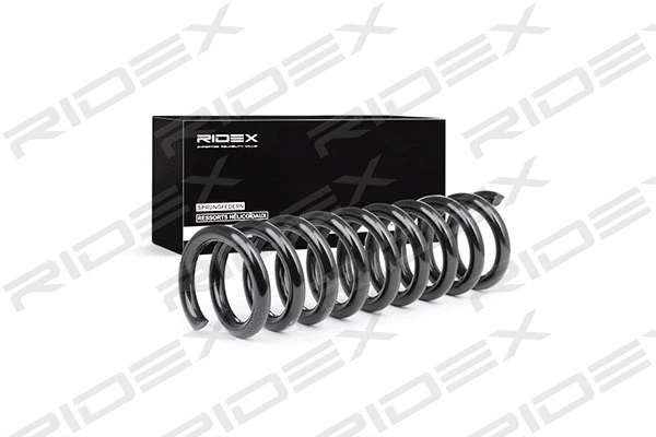 Suspension Spring (188C0269)
