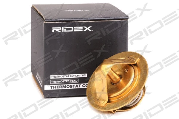 Thermostat, coolant