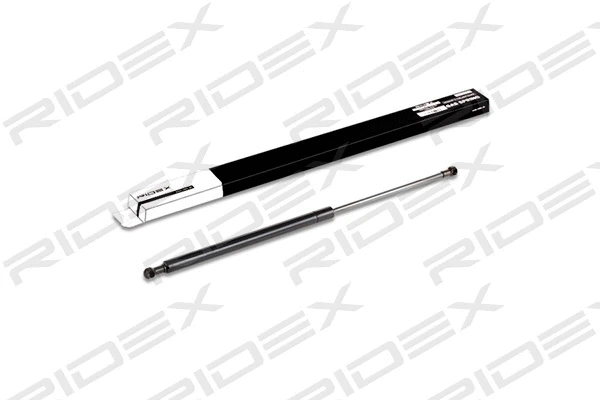 Gas Spring, boot/cargo area (219G0241)