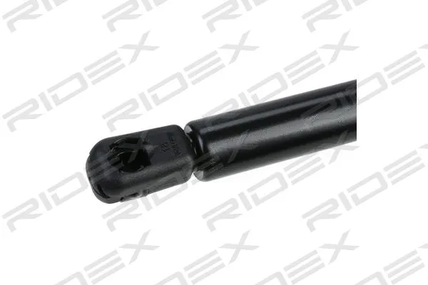 Gas Spring, boot/cargo area (219G0360)