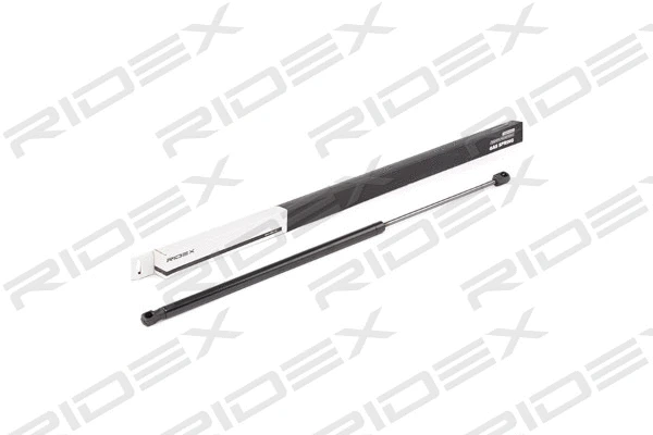 Gas Spring, boot/cargo area