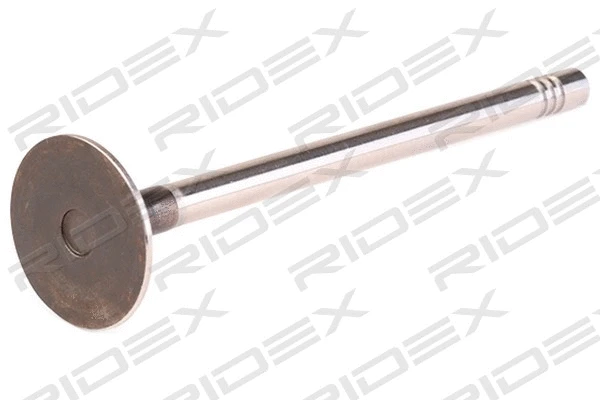 Exhaust Valve