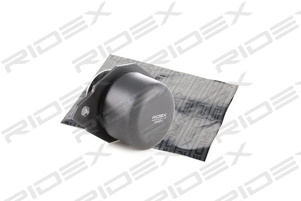Mounting, engine (247E0011)
