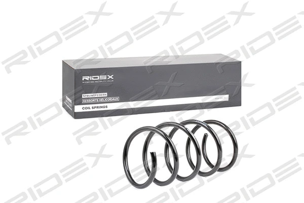 Suspension Spring
