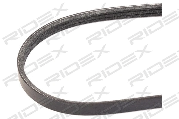 V-Ribbed Belt (305P0435)