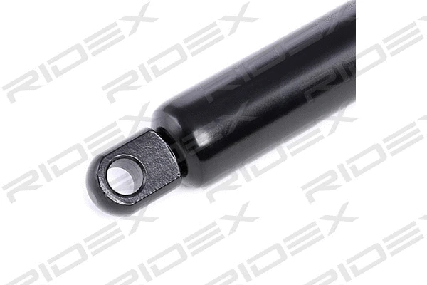 Gas Spring, boot/cargo area (219G0191)