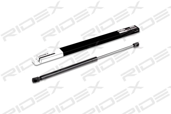 Gas Spring, boot/cargo area (219G0232)