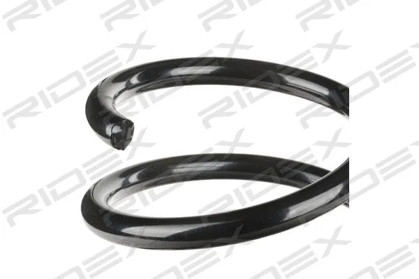 Suspension Spring (188C0121)