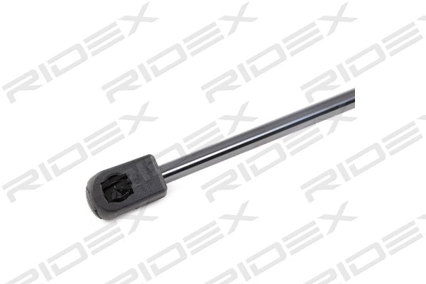 Gas Spring, boot/cargo area (219G0269)
