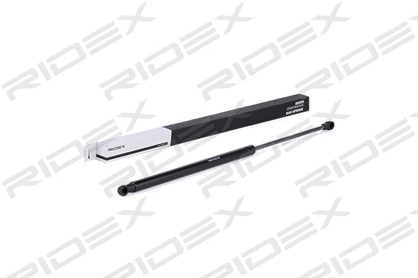 Gas Spring, boot/cargo area