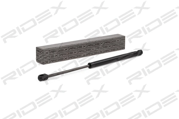 Gas Spring, boot/cargo area