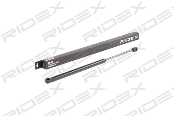 Gas Spring, boot/cargo area