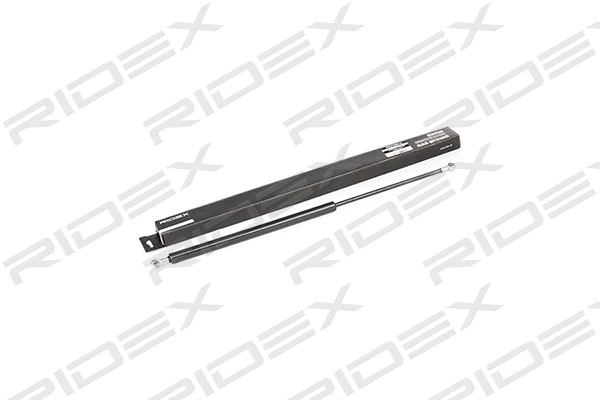 Gas Spring, boot/cargo area (219G0202)