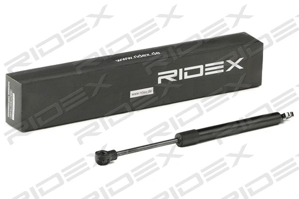 Gas Spring, boot/cargo area