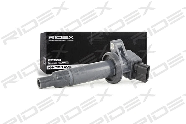 Ignition Coil (689C0040)
