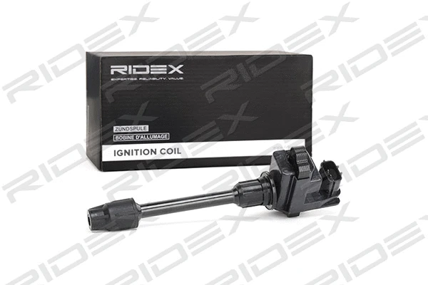 Ignition Coil (689C0203)