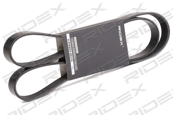 V-Ribbed Belt (305P0389)