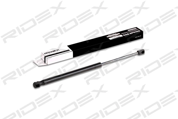 Gas Spring, boot/cargo area (219G0052)