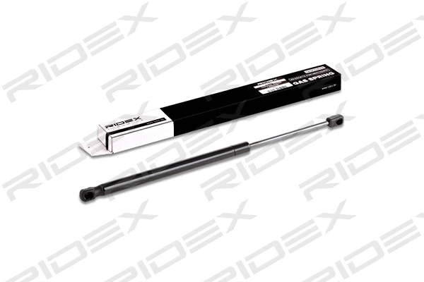 Gas Spring, boot/cargo area (219G0338)