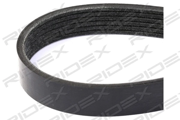 V-Ribbed Belt (305P0178)
