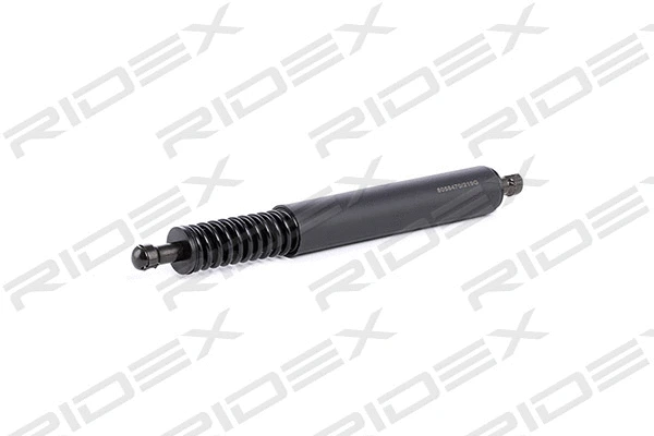 Gas Spring, boot/cargo area (219G0079)