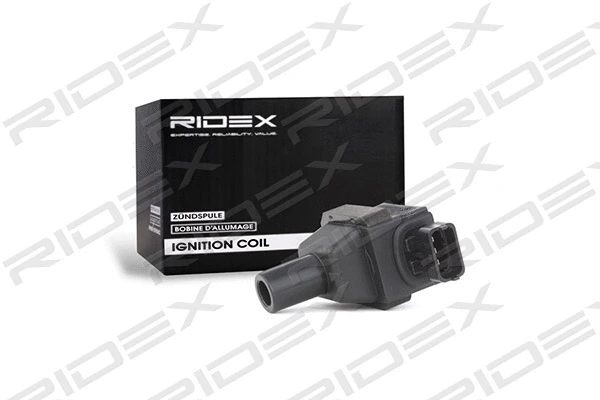 Ignition Coil (689C0278)