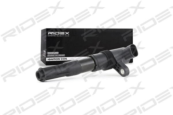 Ignition Coil (689C0095)