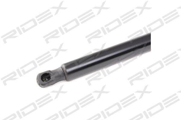 Gas Spring, boot/cargo area (219G0878)
