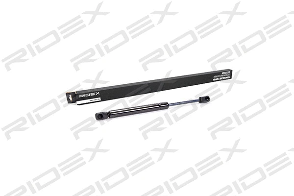 Gas Spring, boot/cargo area (219G0041)