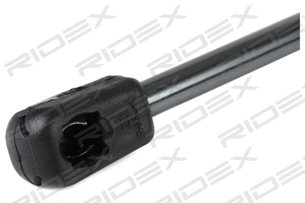 Gas Spring, bonnet