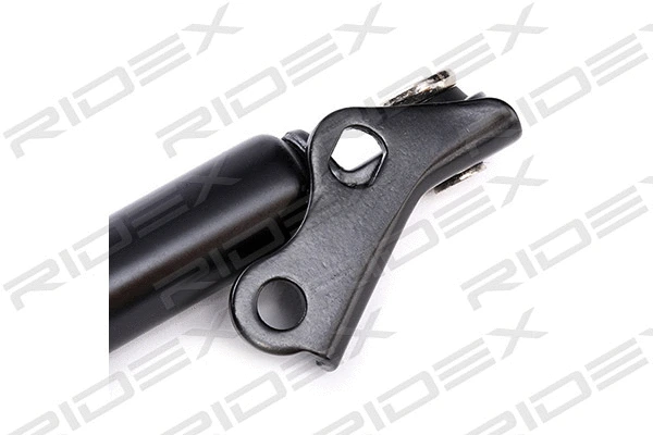 Gas Spring, boot/cargo area (219G0421)