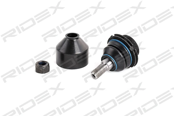 Ball Joint (2462S0038)