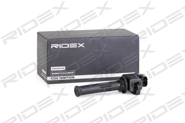 Ignition Coil (689C0052)