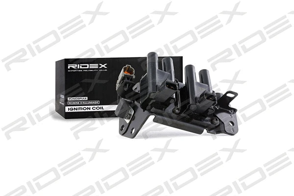 Ignition Coil (689C0099)