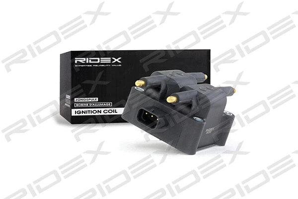 Ignition Coil (689C0057)